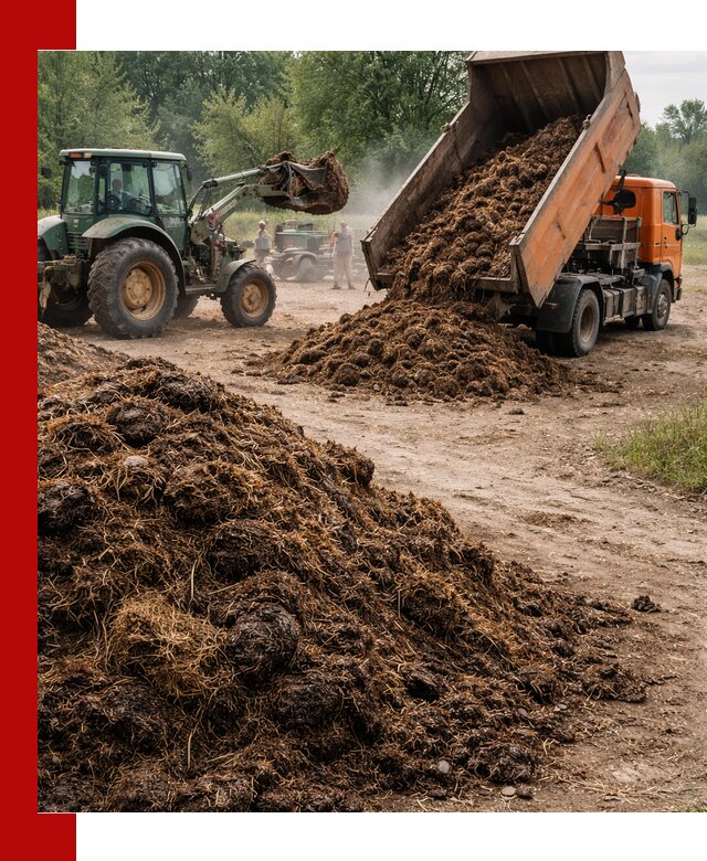 Доставка навоза самосвалами в Южно-Сахалинске для сельхозпотребностей