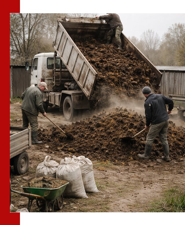 Доставка коровьего навоза самосвалом в Южно-Сахалинске